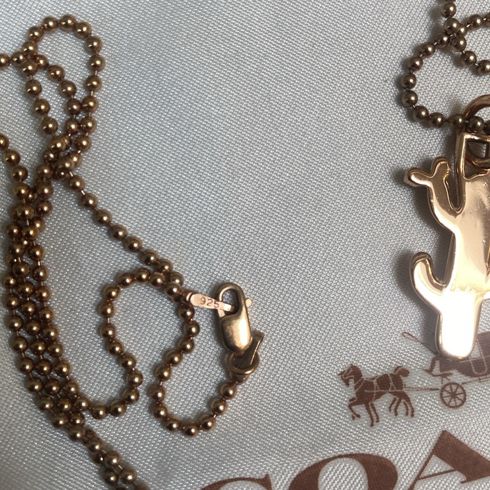 Coach cactus charm - Picture 4 of 5